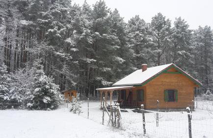 Agroturystyka Polana Harmonii - Foto 44