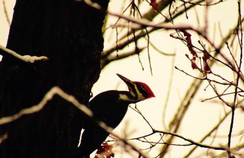 Retreat in a Stunning House - Foto 21