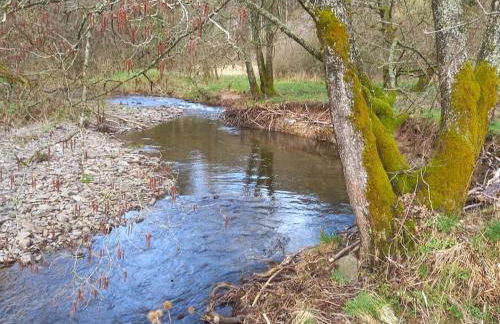 Fichtenloft - Foto 12