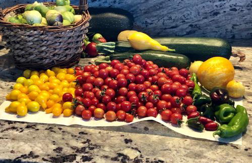 Amazing Loft on Horse Ranch - Foto 38