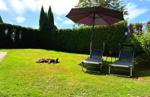 Bussardhorst - Foto 4