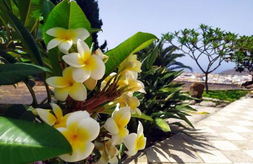 Casa Isla Bonita - Foto 32