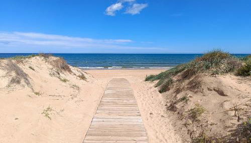 Anacasa San Fernando MET Oliva Nova AP642 - Photo 2