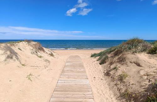 Anacasa San Fernando MET Oliva Nova AP642 - Photo 2