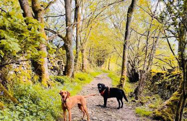 The Old Barn - Photo 22