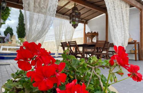 Authentic Canary Style Villa with private pool and garden- Casa Juan Vera - Foto 8