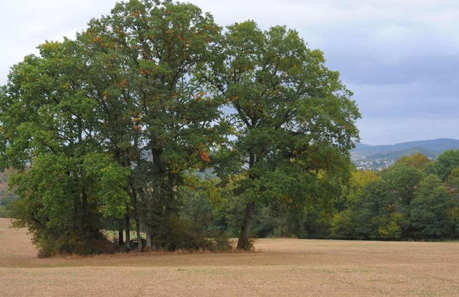Bungalow in Eifel Near Mountain Trails - Foto 28