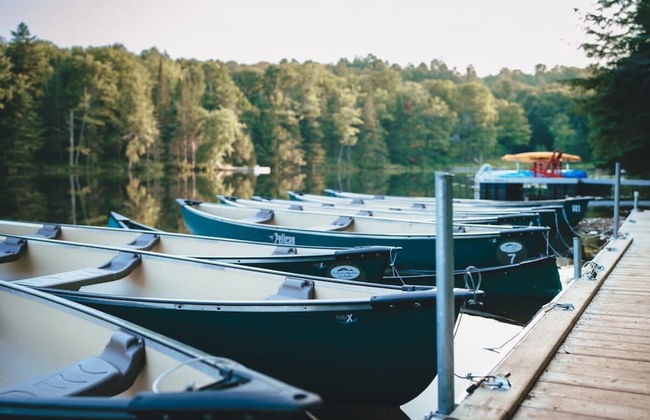 Le Cerf 40 Citq 234861 - Foto 38