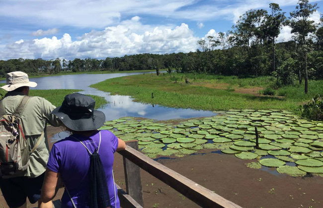 Tour di Manaus - Foto 6