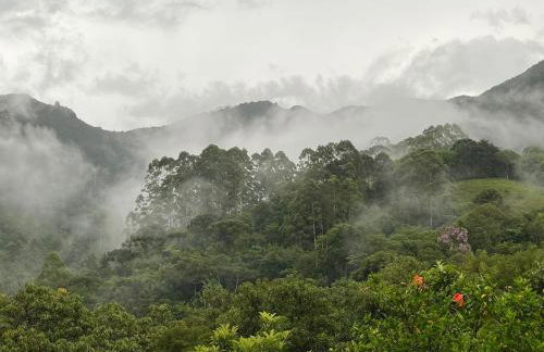 Casa de campos são Francisco Xavier Xavier - Foto 43