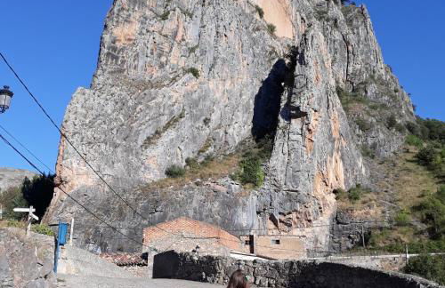 Casa Petra y Armando - Foto 22