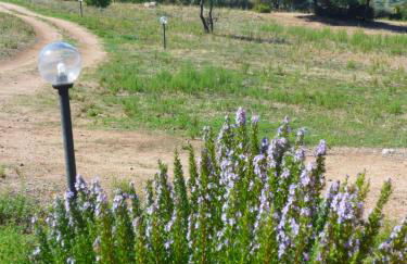 agriturismo gli olivastri, appartamento la rosa dei venti con piscina e solarium , vista mare ,climatizzatore ,wifi - Foto 22