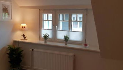 Kampen Bergente - Foto 2