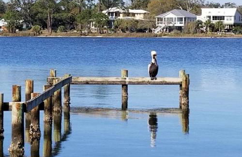 Studio with Private Beach on Bayou Grande - Photo 13