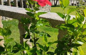 CASA LAXE DO BARRO - Foto 10