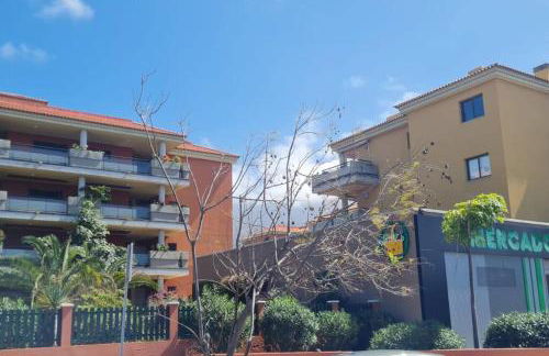 Jardín del Teide - Foto 22