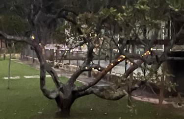Chácara Sorocaba Piscina e Diversão Garantidal - Foto 20