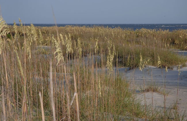 Spacious Condo in the Heart of Hilton Head - Foto 29