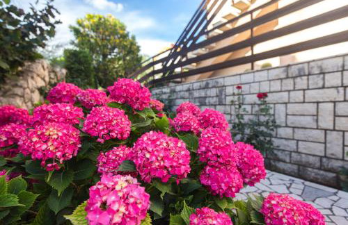 Captain's Apartment with Sea View - Photo 25