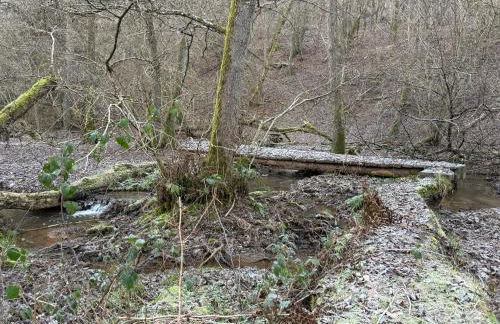 Gästehaus Lydia - Klüsserather Bruderschaft - Foto 22