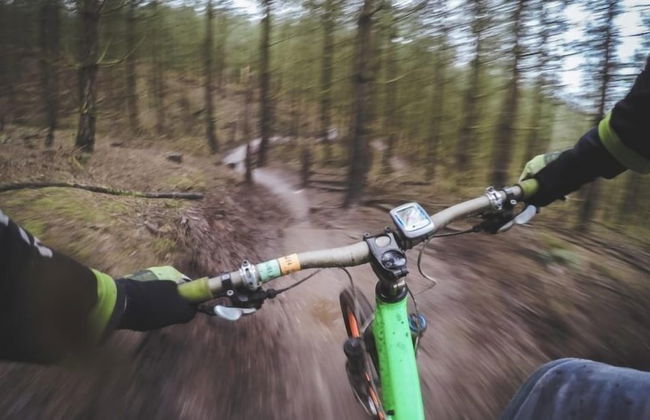 Bodetaler Basecamp Lodge - Foto 18