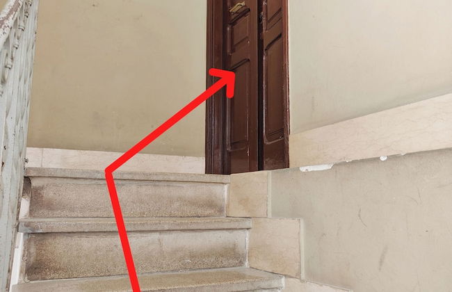 Crystal Domus - Photo 42