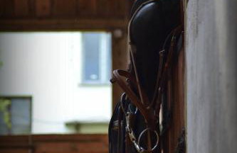 Stajnia Lisewo - Foto 11