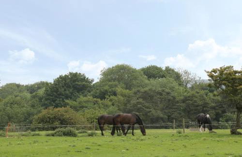 Crabtree Cottage - Foto 17