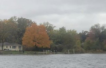 Campau Lake Sunshine cottage - Foto 24