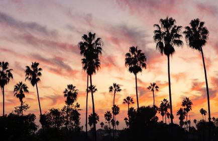 Silverlake Sunset Treehouse • Art-Filled Escape w Jacuzzi Sauna AvantStay - Foto 46