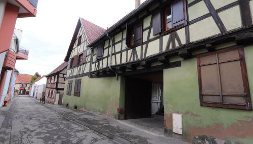 homday cultivateur 3 - Photo 5