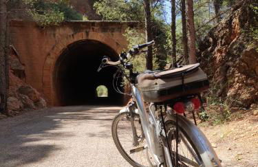 Lo Petit Delta - Foto 29