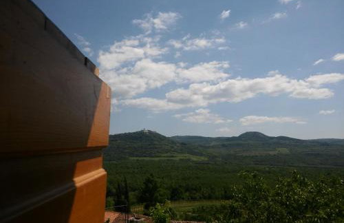 Apartment Staleta Tartuf - Foto 17