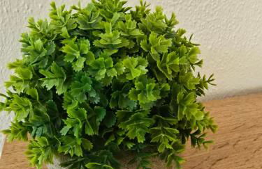 Ruhiges Apartment nähe Bahnhof HILTI - Foto 45