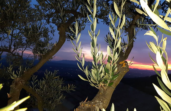 Borgo La Casetta - Foto 38