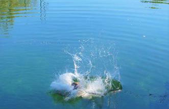 Apartments Korana, BelajskePoljice - Foto 15