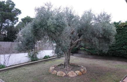 Villa Vista Alegría - Foto 51