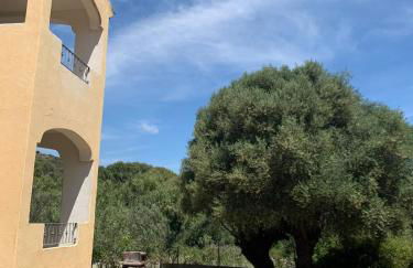 Casa Mirto, ground floor, Borgo Solità - IUN P6978 - Foto 13