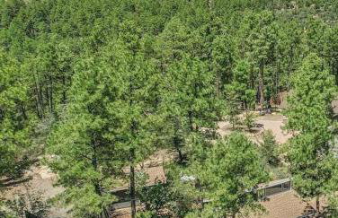 Mountain Cabin Retreat in the Pines - Foto 48