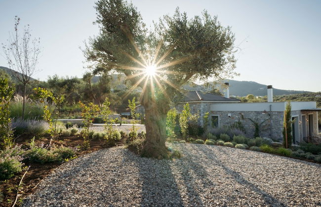 Elies Residences - Photo 42