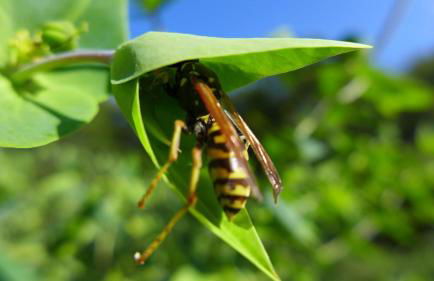 Vacation home with a view of nature, home theater, fireplace - Foto 5