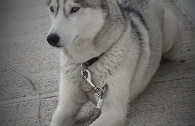 Cois na hAbhann B&B - Foto 27