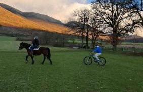 Agriturismo Le Case di Quarantotti - Foto 6