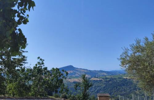 GrazieSole Agriturismo mattone upstairs e downstairs - Foto 24