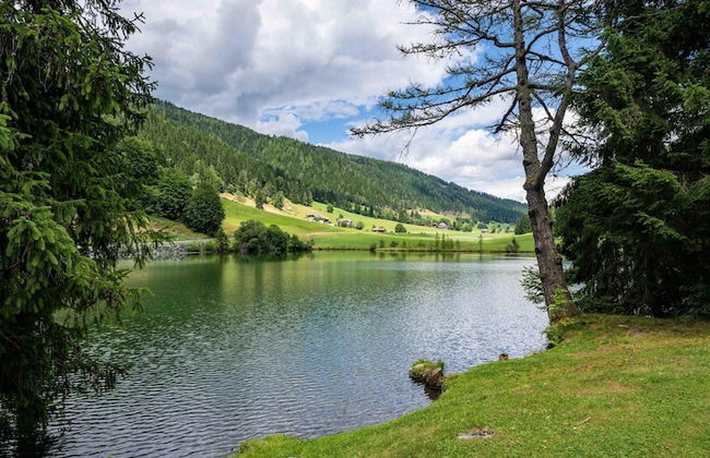 Apartment in St. Lambrecht Near ski Area - Foto 36