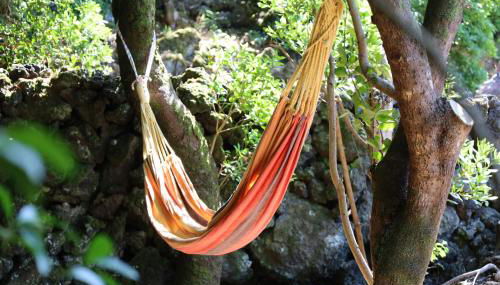 Casas do Caminho Novo - Photo 3