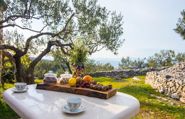 Villa Roza - One Bedroom With Swimming Pool - Photo 25