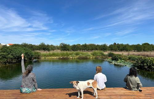 Barn Cottage at Yoga Farm with Natural Swimming Pool near Beach - Foto 14