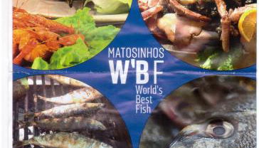 SEAMatosinhos - Foto 3