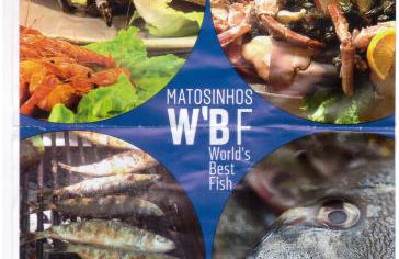 SEAMatosinhos - Foto 3